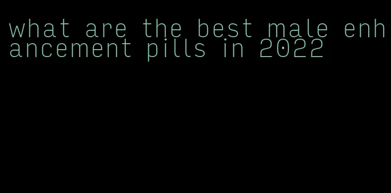 what are the best male enhancement pills in 2022