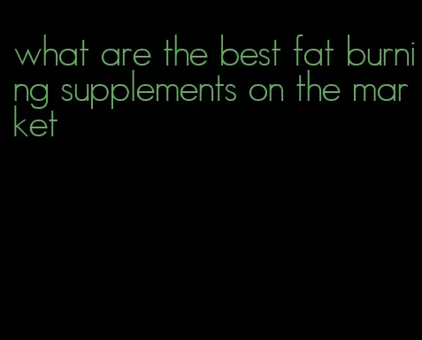 what are the best fat burning supplements on the market