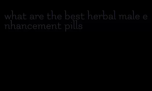 what are the best herbal male enhancement pills