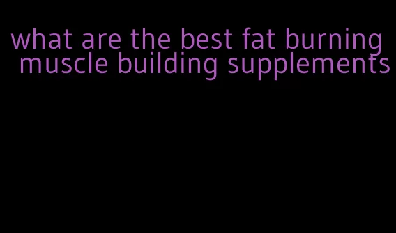 what are the best fat burning muscle building supplements