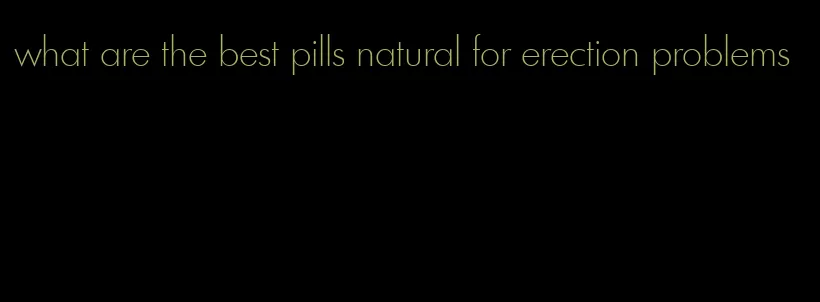 what are the best pills natural for erection problems