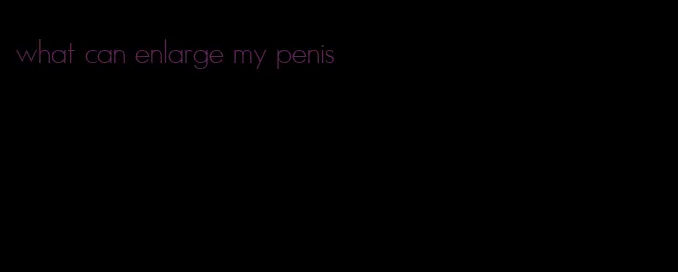 what can enlarge my penis