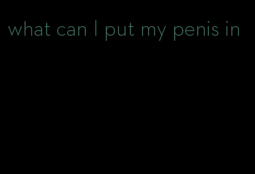 what can I put my penis in