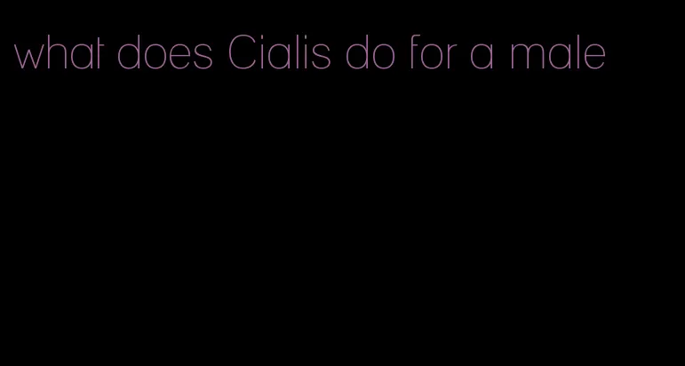 what does Cialis do for a male