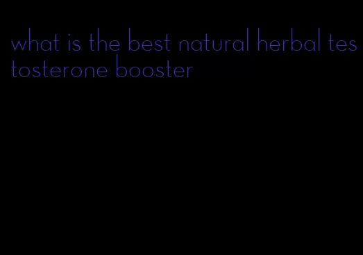 what is the best natural herbal testosterone booster