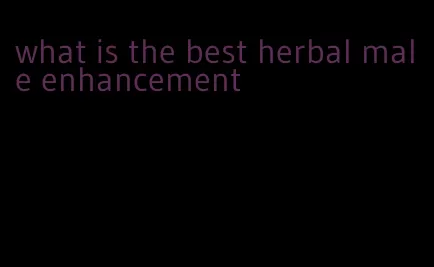 what is the best herbal male enhancement