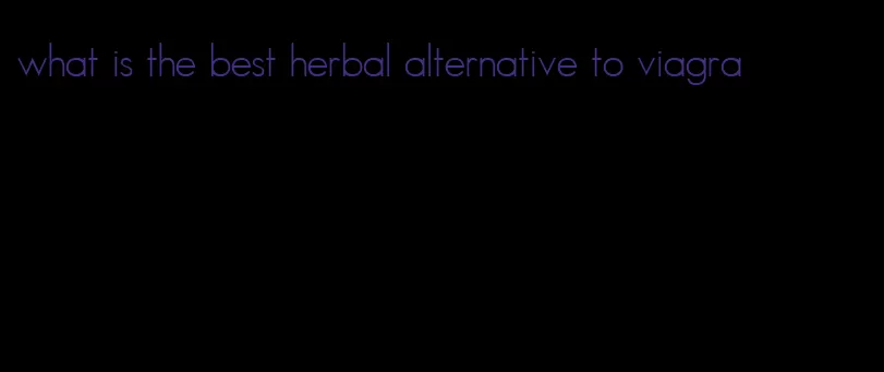 what is the best herbal alternative to viagra