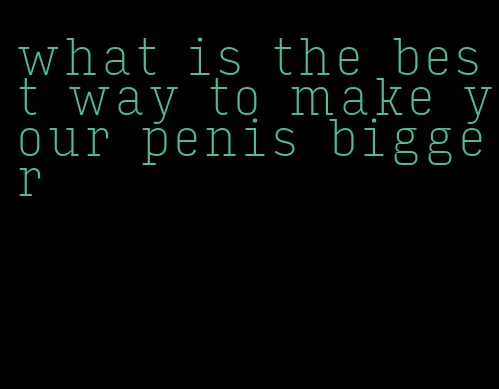 what is the best way to make your penis bigger