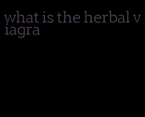 what is the herbal viagra