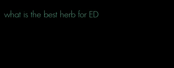 what is the best herb for ED