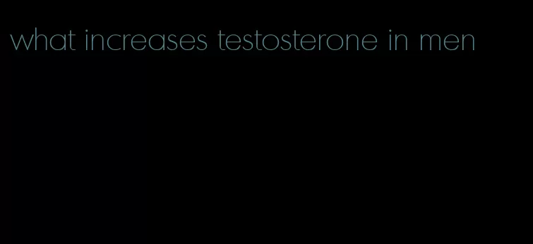 what increases testosterone in men