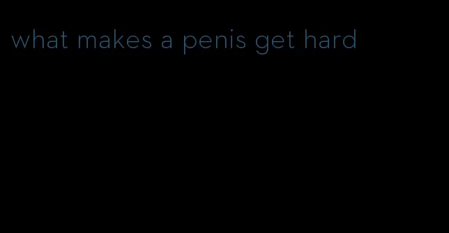 what makes a penis get hard