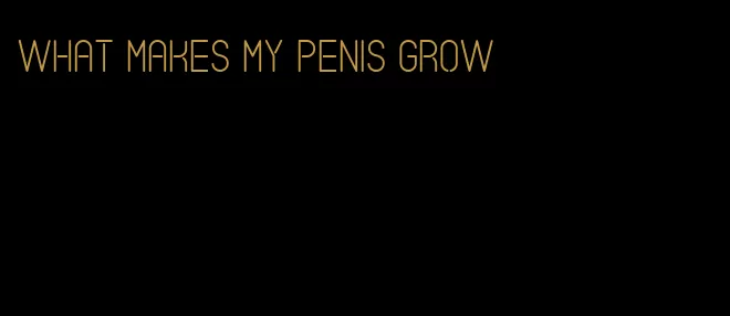 what makes my penis grow