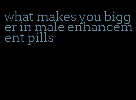 what makes you bigger in male enhancement pills