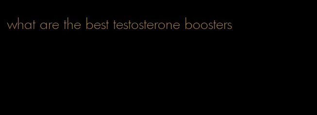 what are the best testosterone boosters