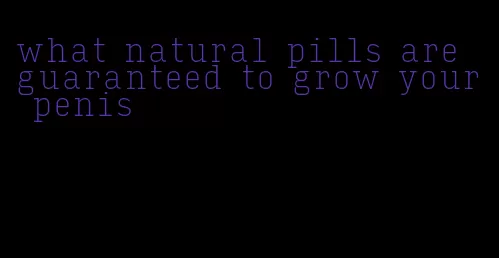 what natural pills are guaranteed to grow your penis