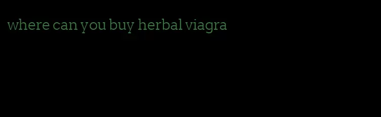 where can you buy herbal viagra