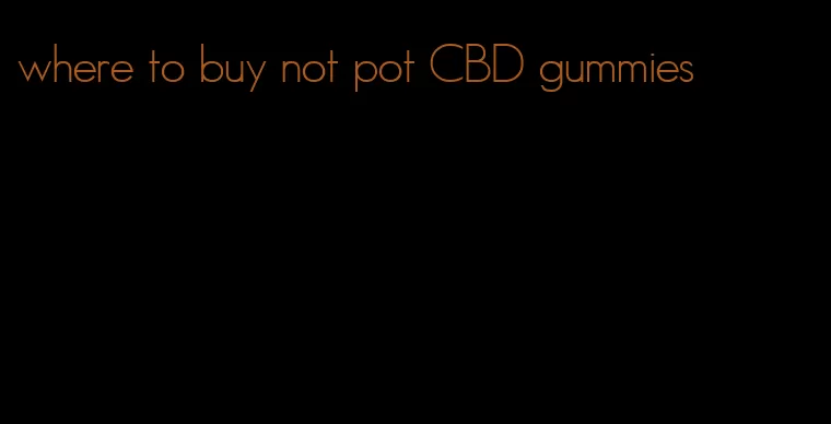 where to buy not pot CBD gummies