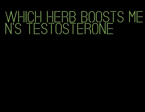 which herb boosts men's testosterone