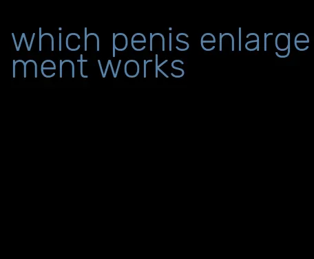 which penis enlargement works