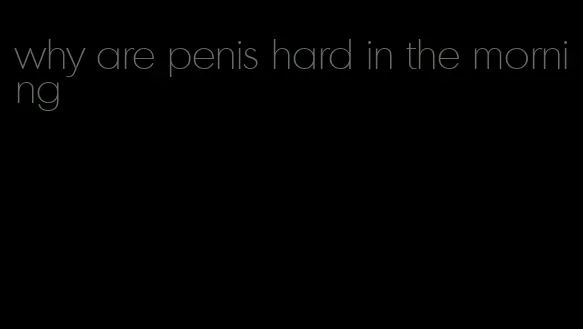 why are penis hard in the morning