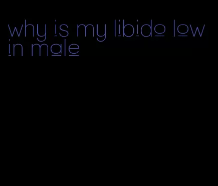 why is my libido low in male