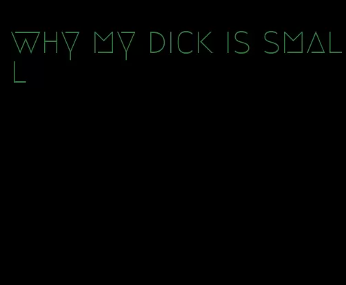 why my dick is small