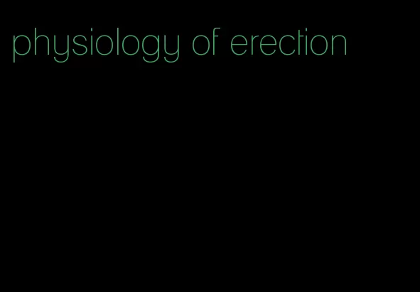 physiology of erection