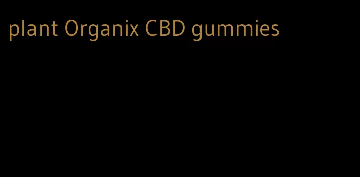 plant Organix CBD gummies